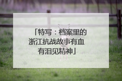 特写：档案里的浙江抗战故事有血有泪见精神