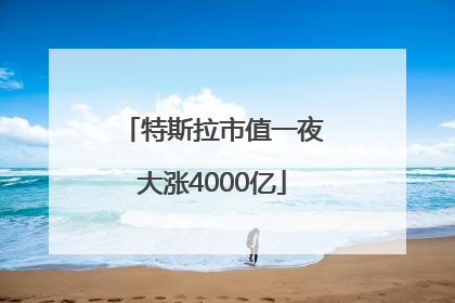 特斯拉市值一夜大涨4000亿
