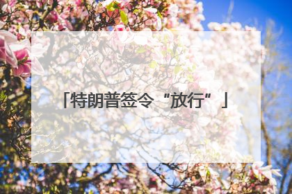 特朗普签令“放行”
