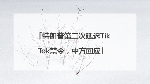 特朗普第三次延迟TikTok禁令，中方回应