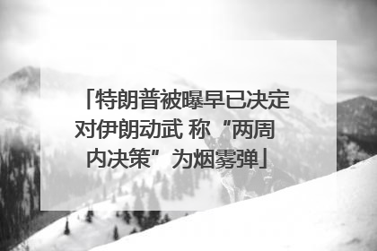 特朗普被曝早已决定对伊朗动武 称“两周内决策”为烟雾弹