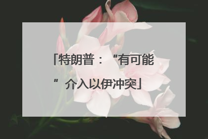 特朗普：“有可能”介入以伊冲突