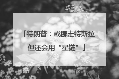 特朗普：或挪走特斯拉 但还会用“星链”