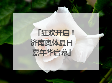 狂欢开启！济南奥体夏日嘉年华启幕