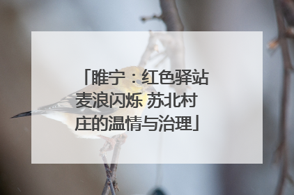 睢宁：红色驿站麦浪闪烁 苏北村庄的温情与治理