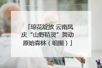 琼花绽放 云南凤庆“山野精灵”舞动原始森林（组图）