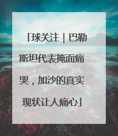 球关注｜巴勒斯坦代表掩面痛哭，加沙的真实现状让人痛心