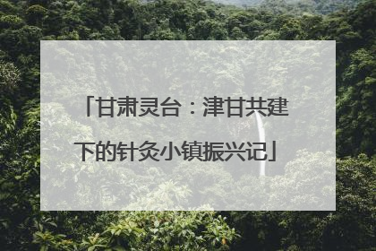 甘肃灵台：津甘共建下的针灸小镇振兴记