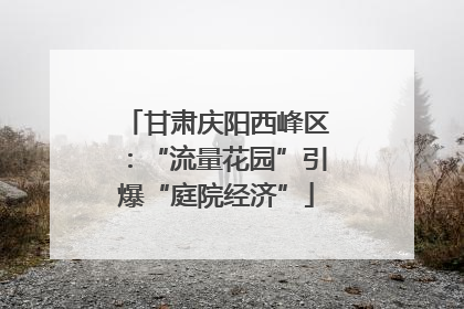 甘肃庆阳西峰区：“流量花园”引爆“庭院经济”