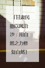 甘肃民勤以风治沙：用自然之力修复自然