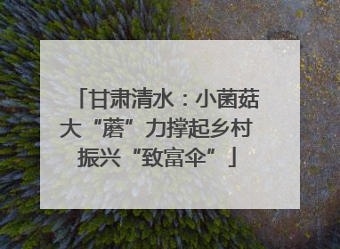 甘肃清水：小菌菇大“蘑”力撑起乡村振兴“致富伞”