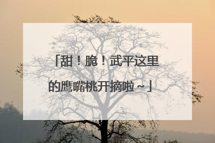 甜！脆！武平这里的鹰嘴桃开摘啦～