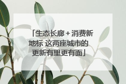 生态长廊＋消费新地标 这两座城市的更新有里更有面