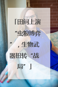 田间上演“虫粮博弈”，生物武器扭转“战局”
