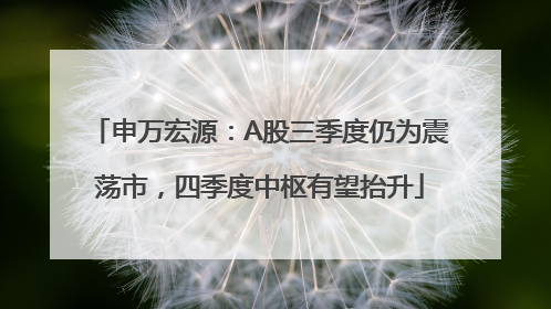 申万宏源：A股三季度仍为震荡市，四季度中枢有望抬升