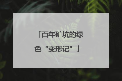 百年矿坑的绿色“变形记”
