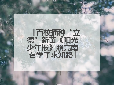 百校播种“立德”新苗《阳光少年报》照亮南召学子求知路