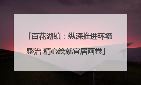 百花湖镇：纵深推进环境整治 精心绘就宜居画卷