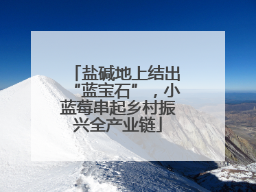 盐碱地上结出“蓝宝石”，小蓝莓串起乡村振兴全产业链
