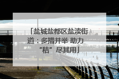 盐城盐都区盐渎街道：多措并举 助力“秸”尽其用