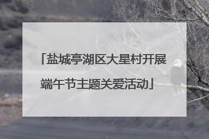 盐城亭湖区大星村开展端午节主题关爱活动