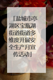 盐城市亭湖区宝瓶湖街道街道多维度开展安全生产月宣传活动