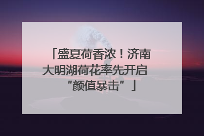 盛夏荷香浓！济南大明湖荷花率先开启“颜值暴击”