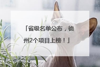 省级名单公布，德州2个项目上榜！