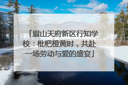 眉山天府新区行知学校：枇杷橙黄时，共赴一场劳动与爱的盛宴