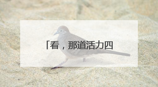看，那道活力四射的风“警”线