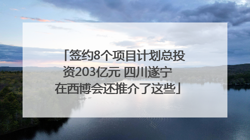 签约8个项目计划总投资203亿元 四川遂宁在西博会还推介了这些