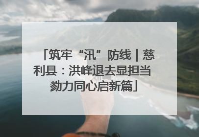 筑牢“汛”防线｜慈利县：洪峰退去显担当 勠力同心启新篇