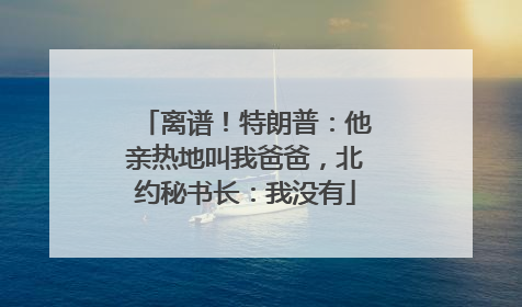 离谱！特朗普：他亲热地叫我爸爸，北约秘书长：我没有