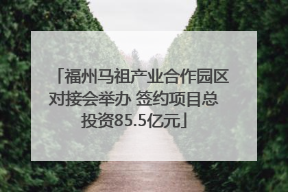 福州马祖产业合作园区对接会举办 签约项目总投资85.5亿元