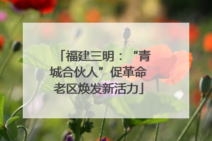 福建三明：“青城合伙人”促革命老区焕发新活力