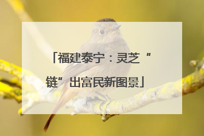 福建泰宁：灵芝“链”出富民新图景