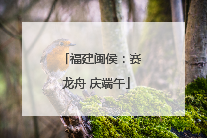 福建闽侯：赛龙舟 庆端午