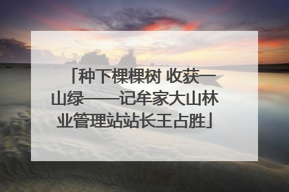 种下棵棵树 收获一山绿——记牟家大山林业管理站站长王占胜