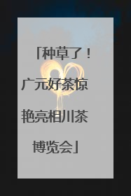 种草了！广元好茶惊艳亮相川茶博览会