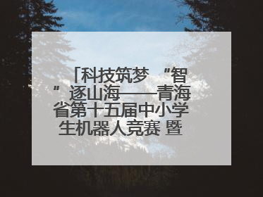科技筑梦 “智”逐山海——青海省第十五届中小学生机器人竞赛 暨第八届创新设计大赛见闻