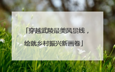 穿越武陵最美风景线，绘就乡村振兴新画卷