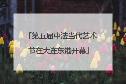 第五届中法当代艺术节在大连东港开幕