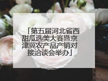 第五届河北省西甜瓜选美大赛暨京津冀农产品产销对接洽谈会举办