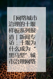 网络城市治理的十堰样板系列报道｜新闻专访：十堰为什么成为“黑马型”城市治理网络维度典型