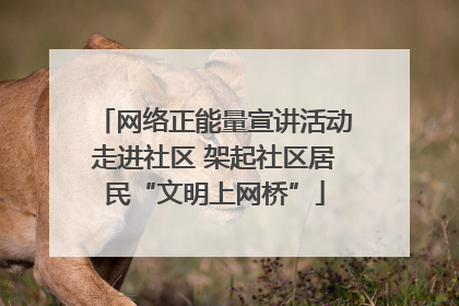 网络正能量宣讲活动走进社区 架起社区居民“文明上网桥”