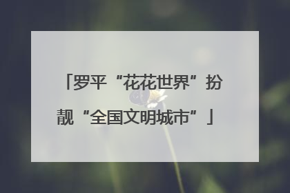 罗平“花花世界”扮靓“全国文明城市”