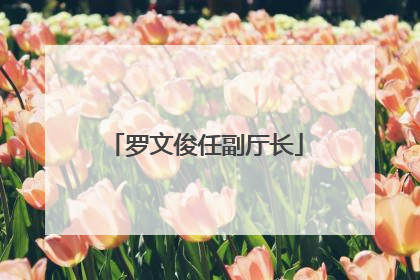 罗文俊任副厅长