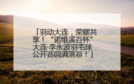 羽动大连，荣耀共享！“诺维溪谷杯”大连·李永波羽毛球公开赛圆满落幕！