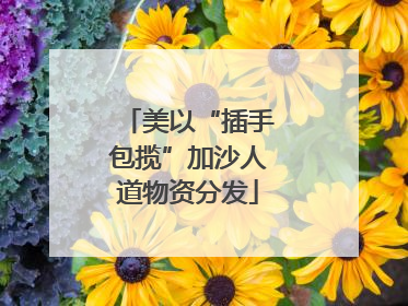 美以“插手包揽”加沙人道物资分发
