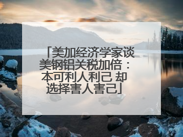 美加经济学家谈美钢铝关税加倍：本可利人利己 却选择害人害己